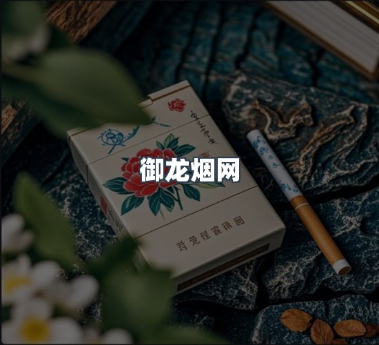 关于御龙烟网